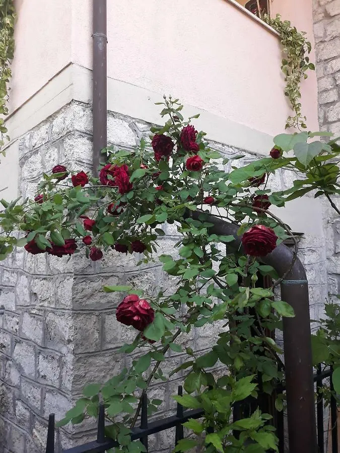 El Giardino Delle Rose..... Apartment Serre Di Rapolano