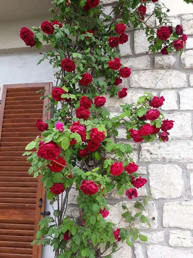 El Giardino Delle Rose..... Apartment Serre Di Rapolano