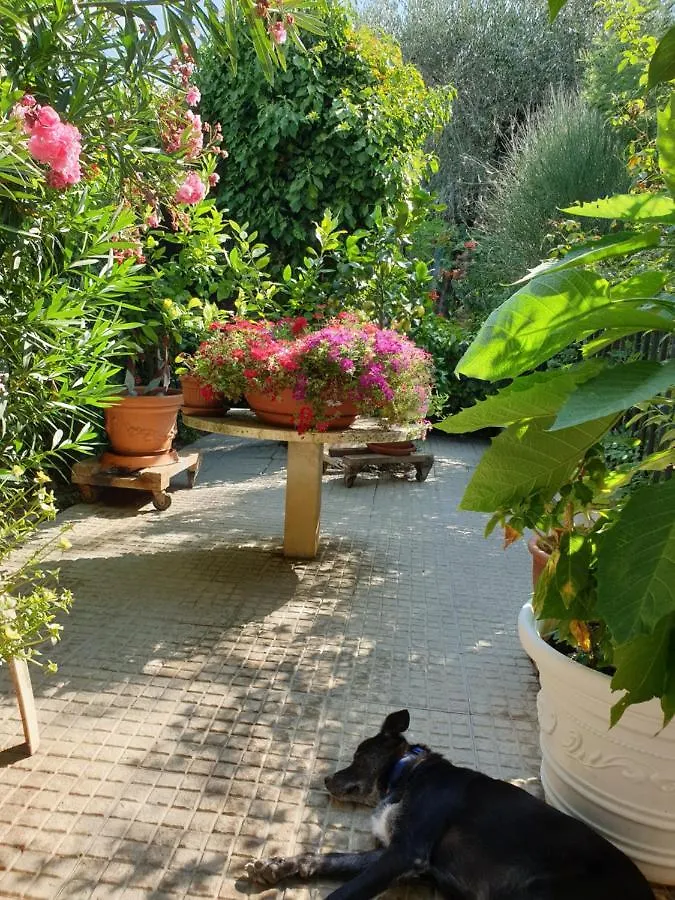 דירות Serre Di Rapolano El Giardino Delle Rose..... 0*,